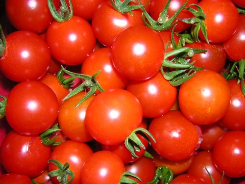 tomates