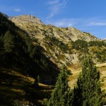 P1010861