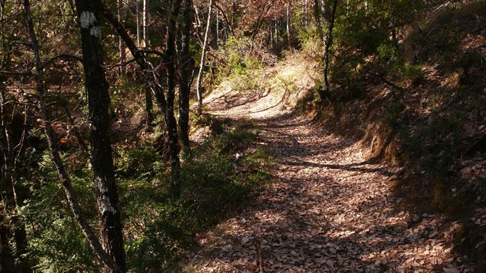 Sendero bucólico de Sobrarbe