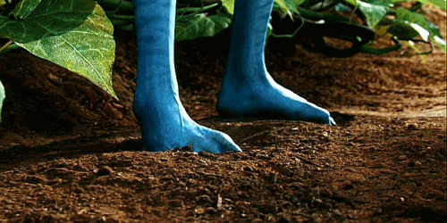 Avatar-Jack-Sully-pies-en-la-tierra.gif